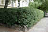 hecke201304614_b.jpg (282996 Byte)