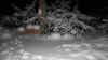 schnee20101228.JPG (38678 Byte)