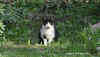 teddykater2010_9402u.jpg (70081 Byte)